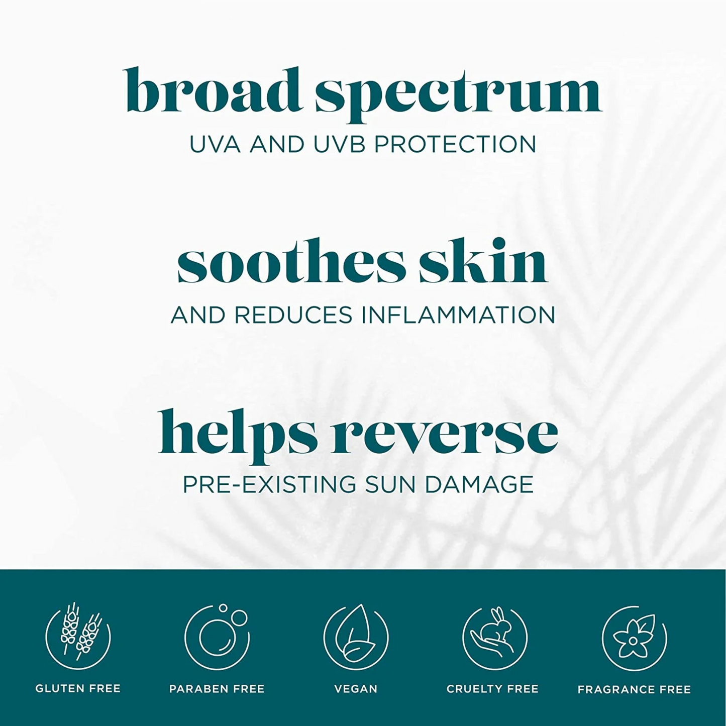 SPF 50 Daily UV Defense Broad Spectrum Sunscreen | VI Derm